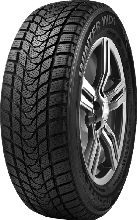 Delinte Winter WD1