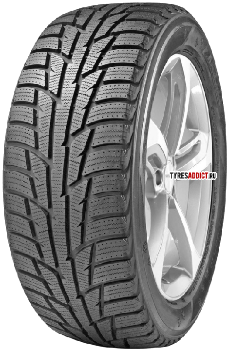 Delinte Winter WD3