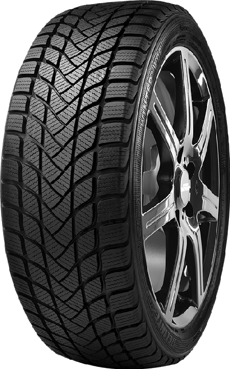 Delinte Winter WD6